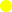 Ambigua